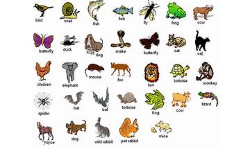 Learn Animal Names in English for Android - Download the APK from Habererciyes